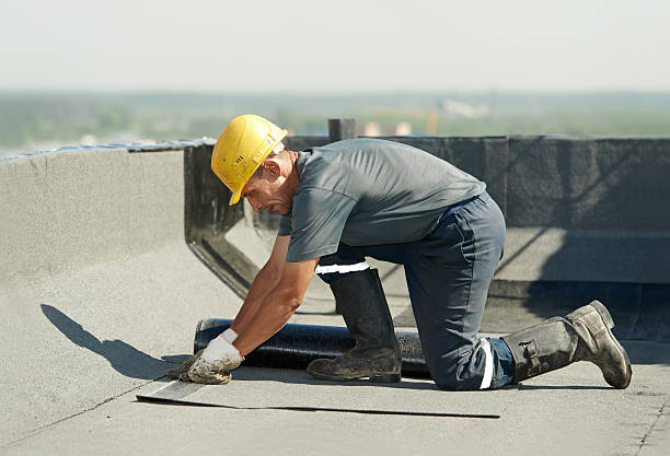 Best Insulation Inspection Services  in Chinook, MT
